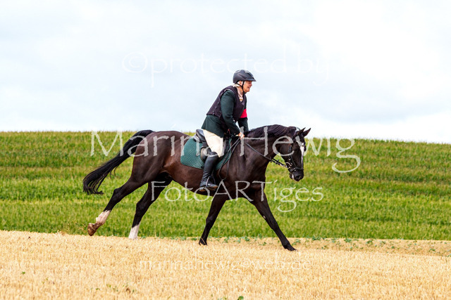 Jagd Knoop 26_MarinaHewigMCH02333 | Fotografie, FotoArt, PferdesportArt, Pferdesportfotografie, Landschaftsfotografie, Reisefotografie, Reise, Pferde - Realisiert mit Pictrs.com