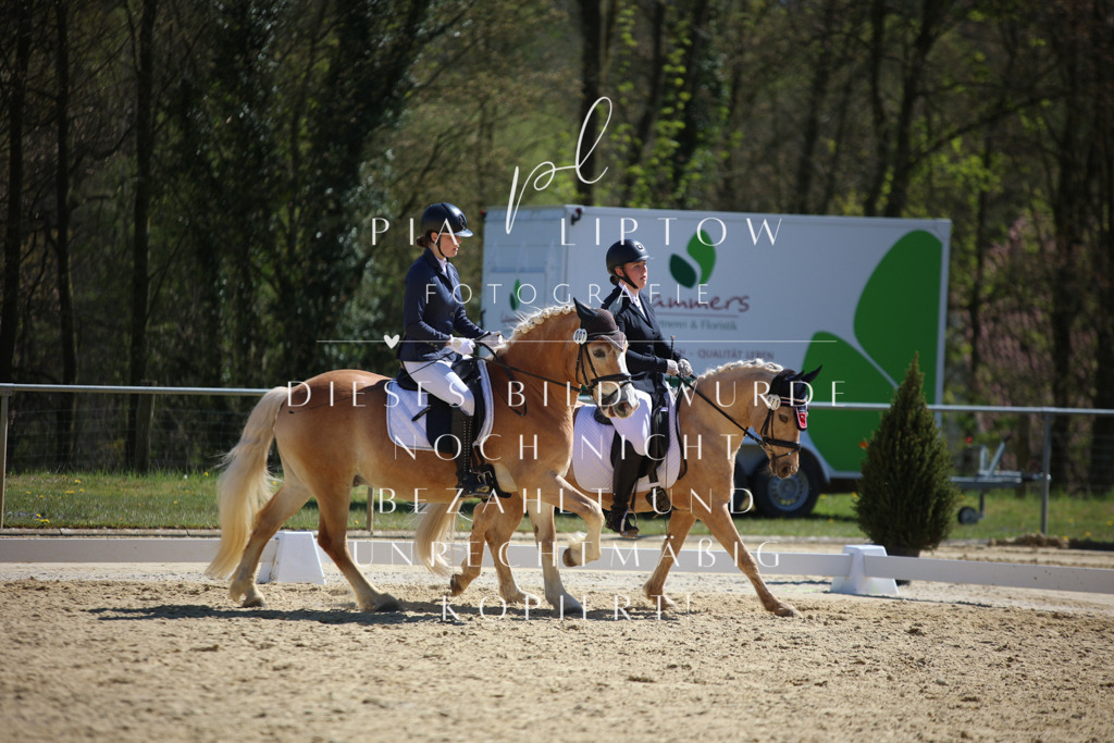 IMGT1696 | pl-fotografie