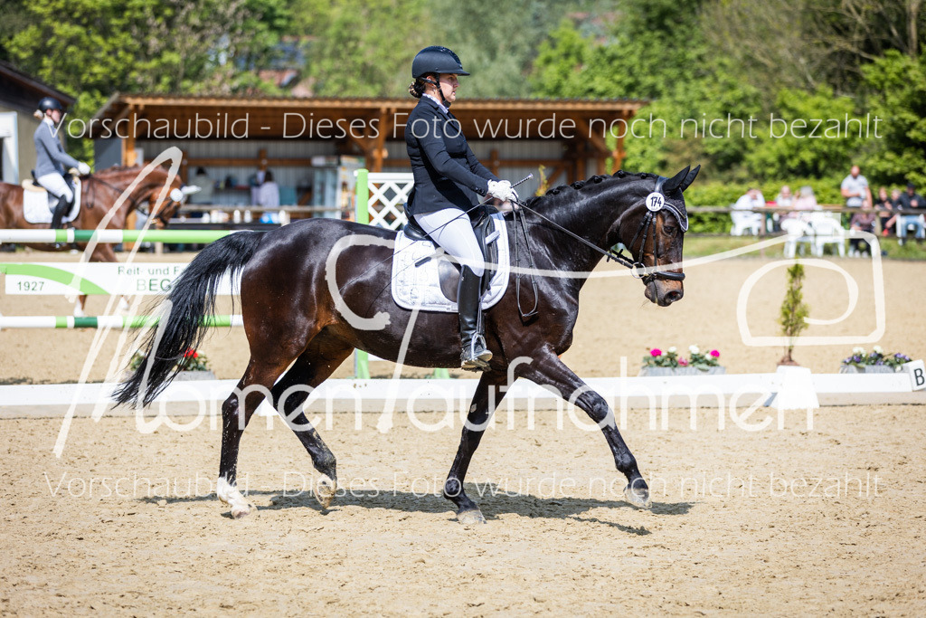 Donop24-L-Dre-031 | MomenTaufnahmen Pferdesportfotos