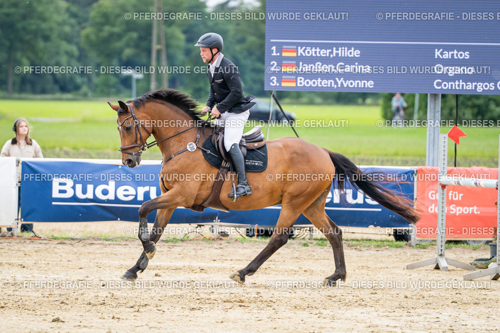 DSC05431 | Pferdegrafie