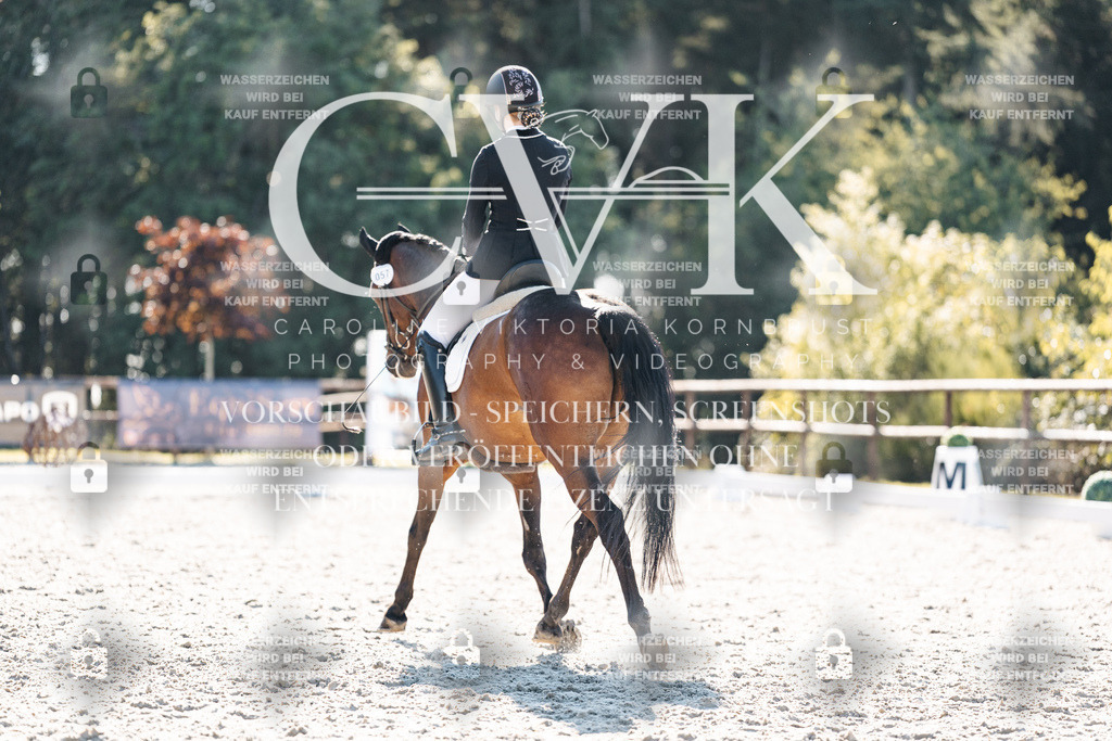 CK906225 | Turnierfotografie Pferdefotografie Trier Rheinland-Pfalz Pferdesport Reitsport Tierfotografie Sportfotografie Pferdevideo Pferdevideografie Equestrianvideography equestrianphotography  - Realisiert mit Pictrs.com
