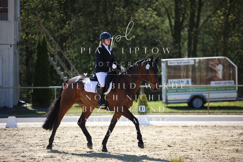 IMGT9943 | pl-fotografie