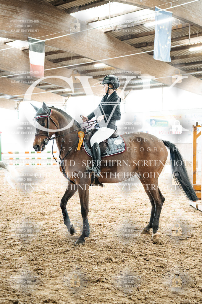 CK702878 | Turnierfotografie Pferdefotografie Trier Rheinland-Pfalz Pferdesport Reitsport Tierfotografie Sportfotografie Pferdevideo Pferdevideografie Equestrianvideography equestrianphotography  - Realized with Pictrs.com