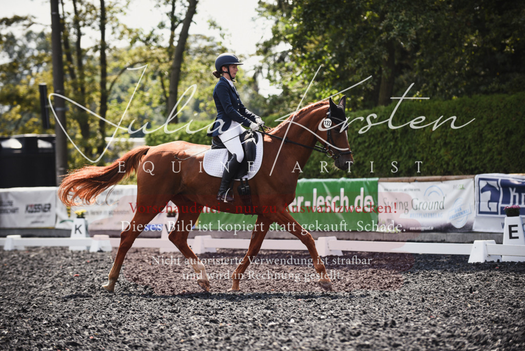 DSC_4125 | Pferde- und Turnierfotografie in Westsachsen. Pferdeportraits, Auftragszeichnungen und intuitive Kunst.
