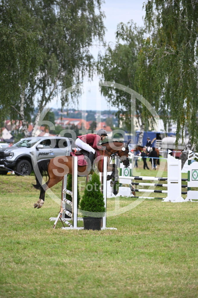 DSC_5039 | sattelsport - Realisiert mit Pictrs.com