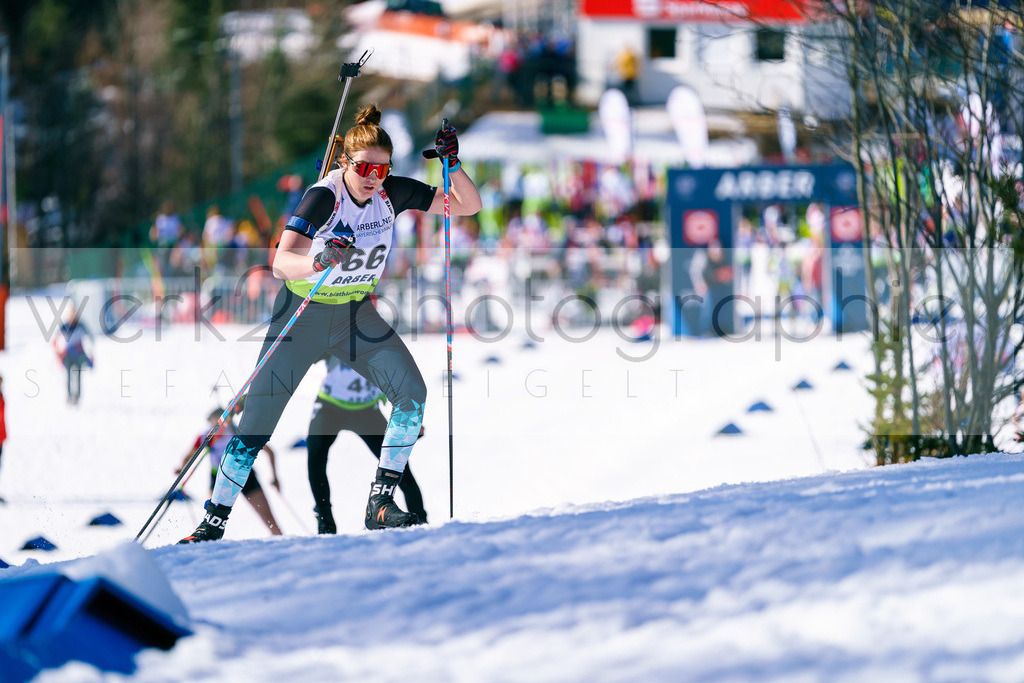 FESA Alpencup / DP Arber | 7. Deutschlandpokal Finale - ARBER Hohenzollern Skistadion, 6. - 9. März 2025