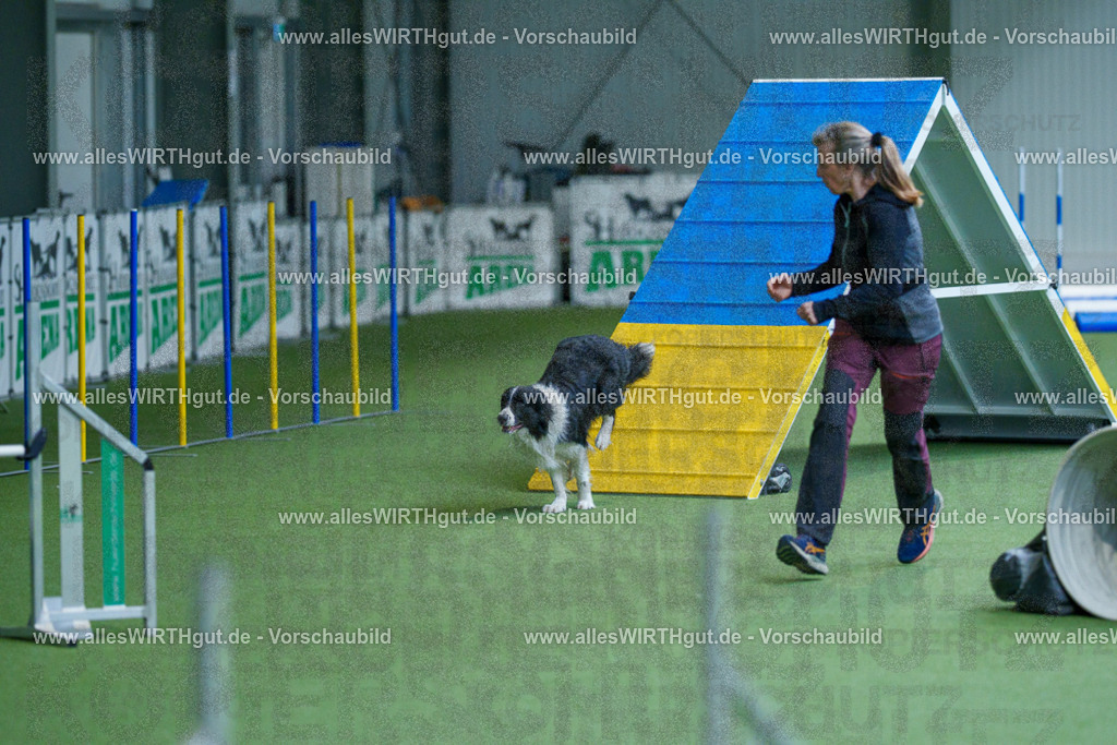 @allesWIRTHgut_Tierfotografie - www.allesWIRTHgut.de - 2604261531-7R505863 | Professionelle Tierfotografie in Mönchengladbach von Daniel Wirth (allesWIRTHgut). Liebevolle & natürliche Bilder von Hunden & Katzen für unvergessliche Erinnerungen.