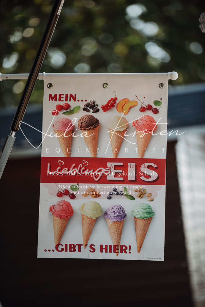 DSC_3394 | Pferde- und Turnierfotografie in Westsachsen. Pferdeportraits, Auftragszeichnungen und intuitive Kunst.