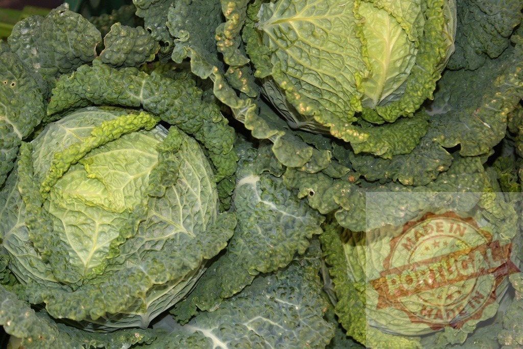 Savoy cabbages showing green organic leaves texture | Fresh savoy cabbages displaying healthy leafy texture and natural green color - Realized with Pictrs.com