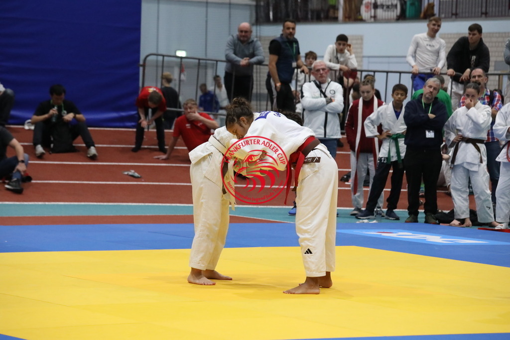 1J7A2399 | Fotos vom Adler Cup - Pictures from Adler Cup

Hier findet Ihr alle Eindrücke und großen Momente der Adler Cup Wochenenden. Here you will find all impressions and great moments of the Adler Cup weekends. - Realisiert mit Pictrs.com