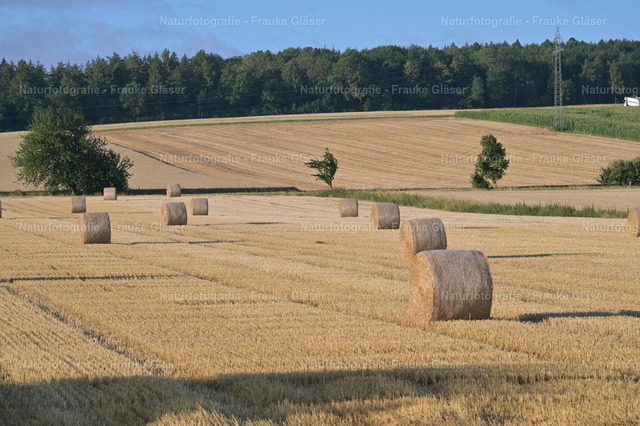 F.Gläser_0543 | Naturfotografie Frauke Gläser - Realisiert mit Pictrs.com