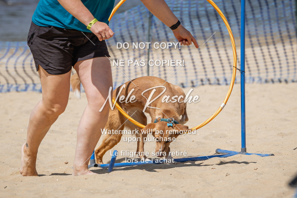 nelerasche_saBeachility_725 | nelerasche