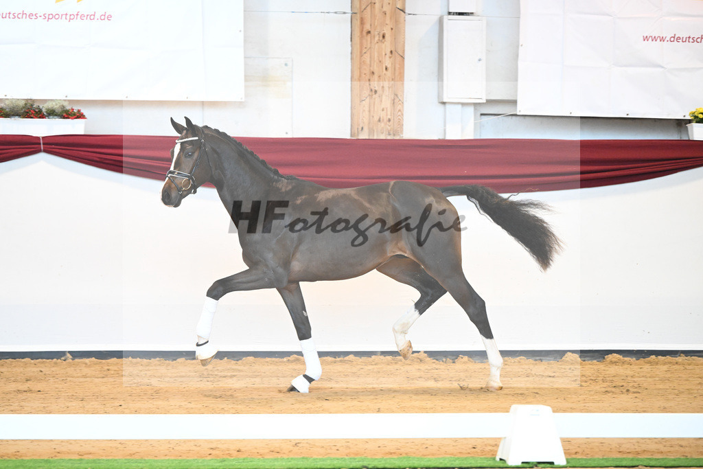 Kat-Nr. 31 v. Ferrantino_Lehner_66221819 | hf-fotografie - Realisiert mit Pictrs.com