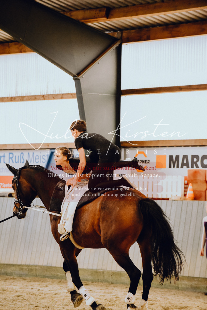 DSC_6924 | Pferde- und Turnierfotografie in Westsachsen. Pferdeportraits, Auftragszeichnungen und intuitive Kunst.
