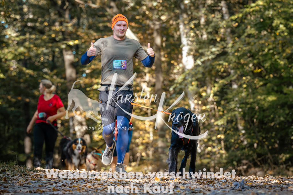 1132_ZZ92630 | kk-dogfotos
