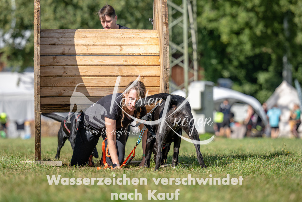 1131_ZZ90546 | kk-dogfotos