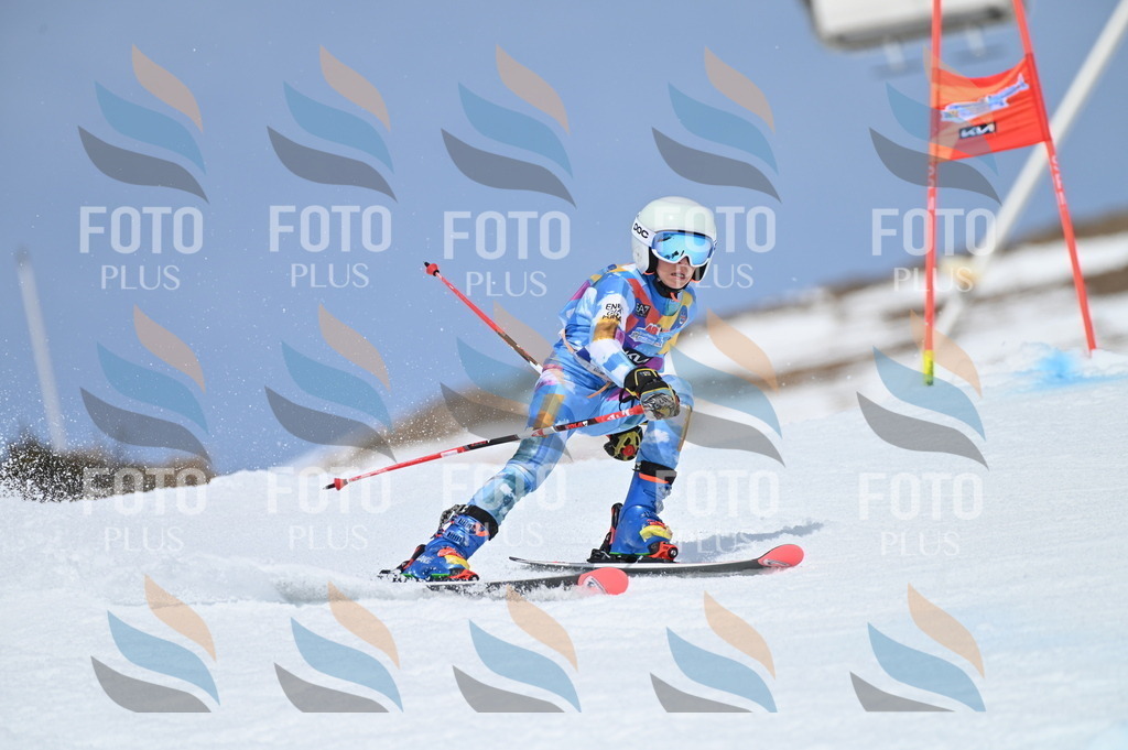 BGV_2964 | holidayphoto