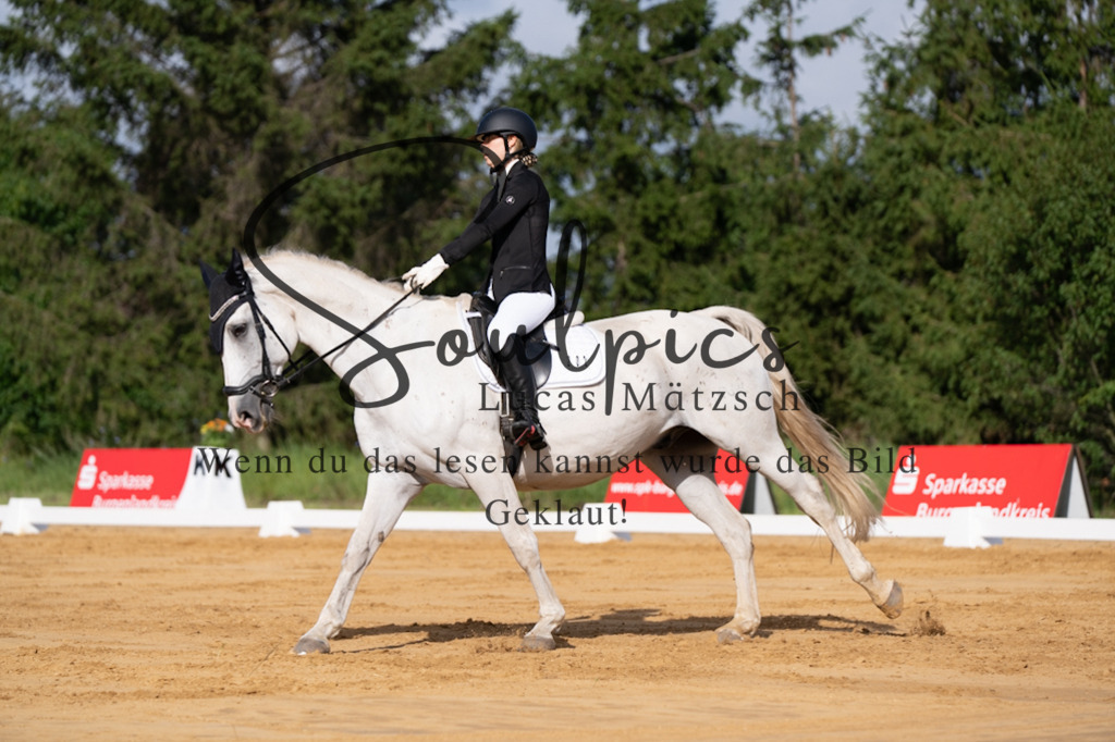 A7V05143 | Pferdefotograf