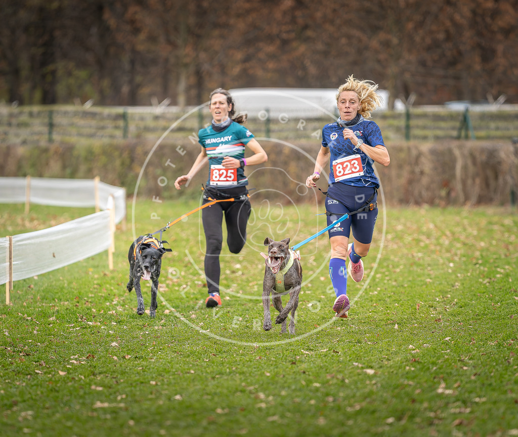 CaniXpix_DV3A6412 | Hundefotografie, Tierfotograf, Pfotenfotografie, Fotoshooting Hund, Hunde Portrait, Hundesport, Hundeportraits, Heideshooting, Hunde, Sportfotograf, Hundefotograf, Turnierhundsport, THS,  - Realisiert mit Pictrs.com