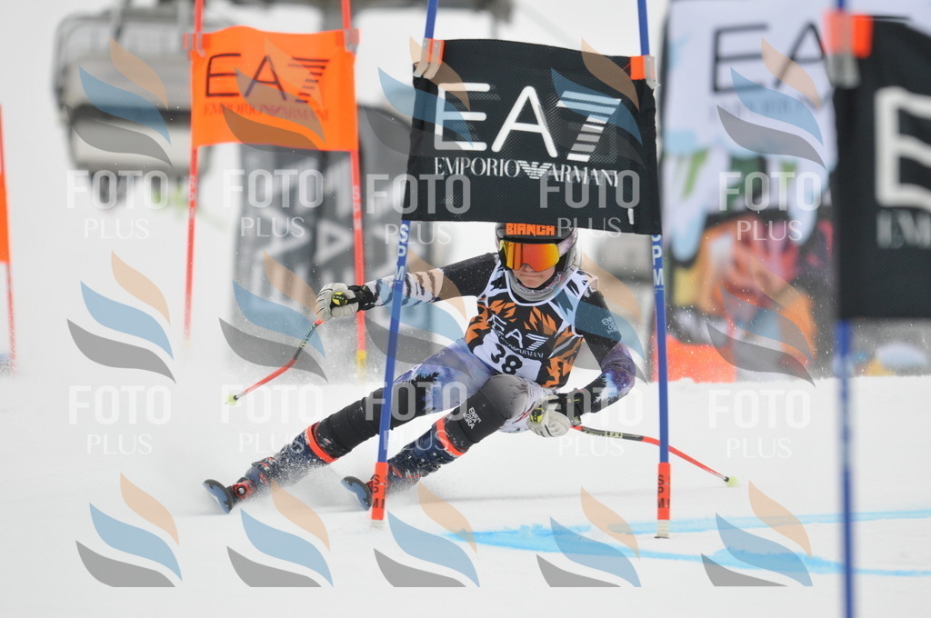 DSC_7611 | holidayphoto