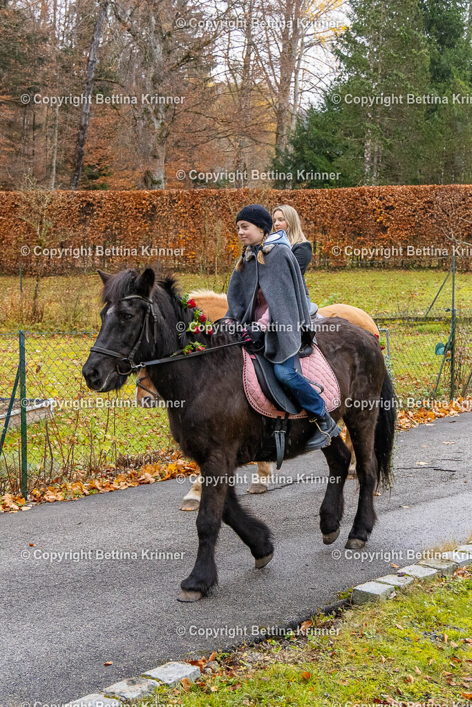 LL25-141 | foto-bettina-krinner - Realisiert mit Pictrs.com