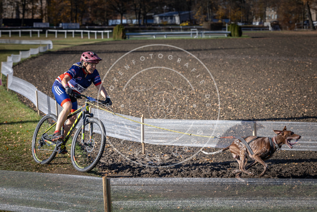 CaniXpix_DV3A6503 | Hundefotografie, Tierfotograf, Pfotenfotografie, Fotoshooting Hund, Hunde Portrait, Hundesport, Hundeportraits, Heideshooting, Hunde, Sportfotograf, Hundefotograf, Turnierhundsport, THS,  - Realisiert mit Pictrs.com