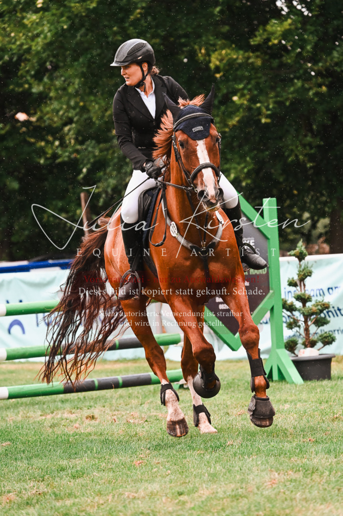DSC_6440 | Pferde- und Turnierfotografie in Westsachsen. Pferdeportraits, Auftragszeichnungen und intuitive Kunst.