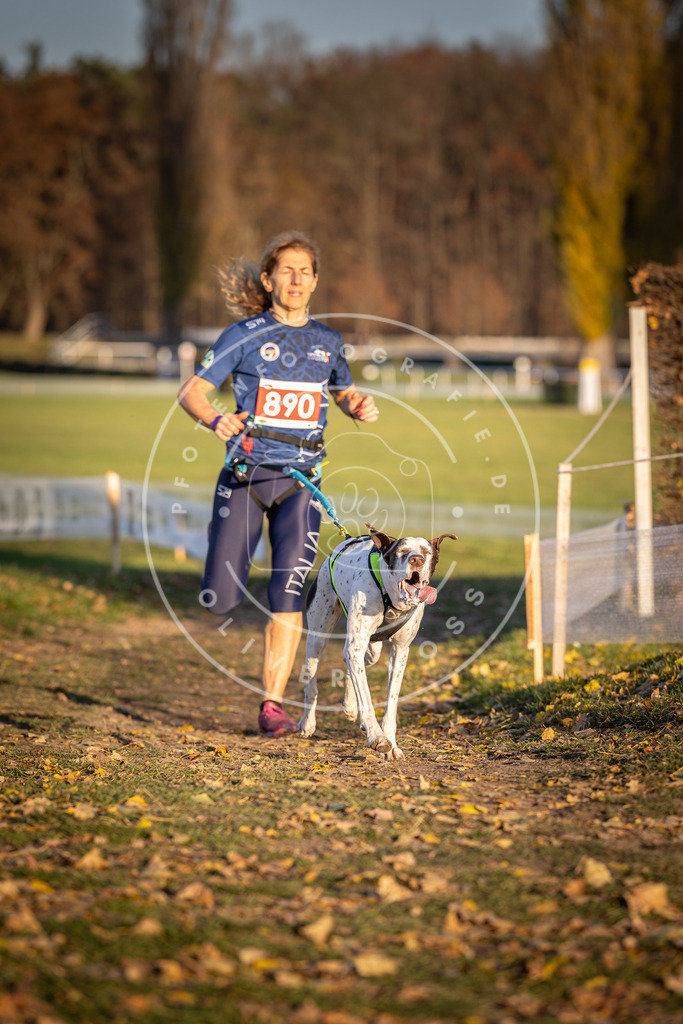 CaniXpix_DV3A4486 | Hundefotografie, Tierfotograf, Pfotenfotografie, Fotoshooting Hund, Hunde Portrait, Hundesport, Hundeportraits, Heideshooting, Hunde, Sportfotograf, Hundefotograf, Turnierhundsport, THS,  - Realisiert mit Pictrs.com