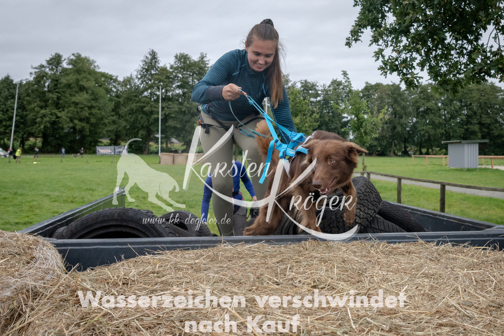 1229_ZZ90882 | kk-dogfotos