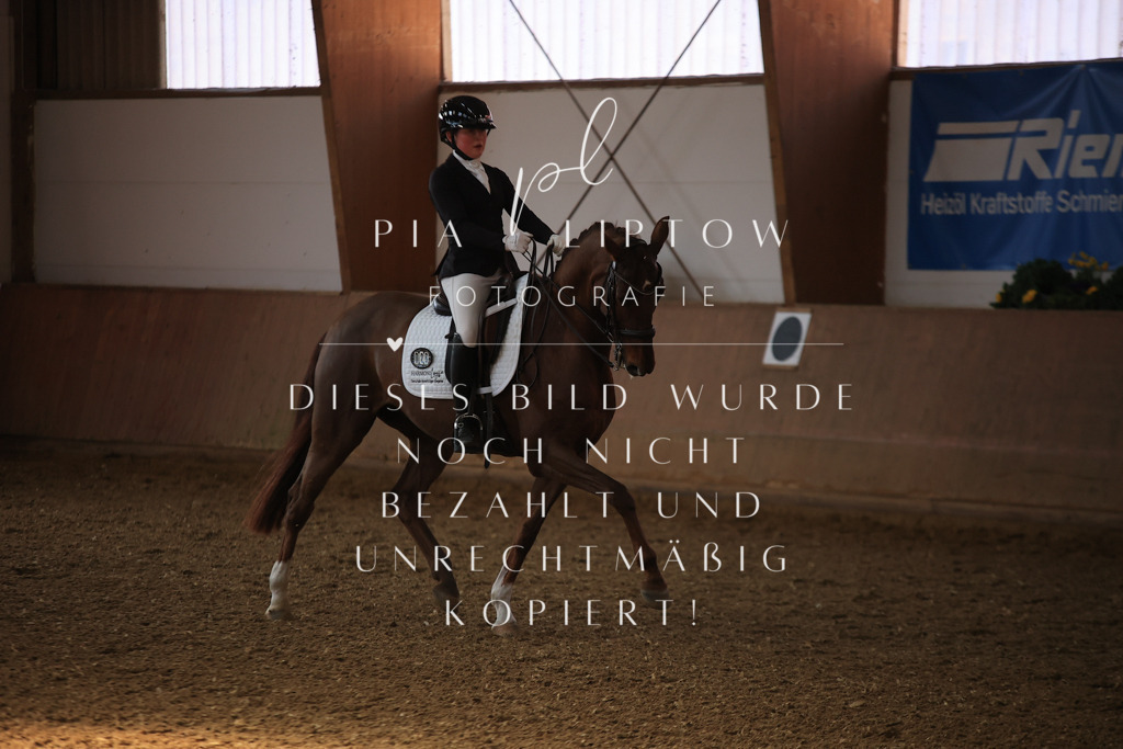 IMGT3018 | pl-fotografie