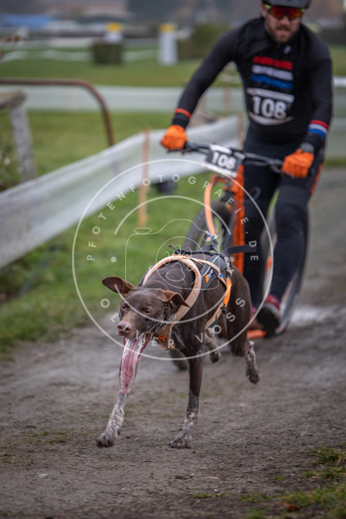 CaniXpix_0L8A0824 | Hundefotografie, Tierfotograf, Pfotenfotografie, Fotoshooting Hund, Hunde Portrait, Hundesport, Hundeportraits, Heideshooting, Hunde, Sportfotograf, Hundefotograf, Turnierhundsport, THS,  - Realisiert mit Pictrs.com