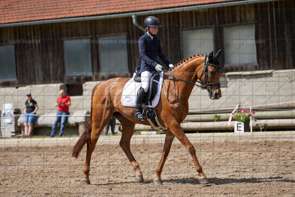 20240519-FAH05032 | Turnierbilder Niederseeon 2024, Vielseitigkeitsdressur, Reitsportbilder aus dem Landkreit Ebersberg, Gut Steinsee, RC Steinsee, Fotoagentur Herrmann