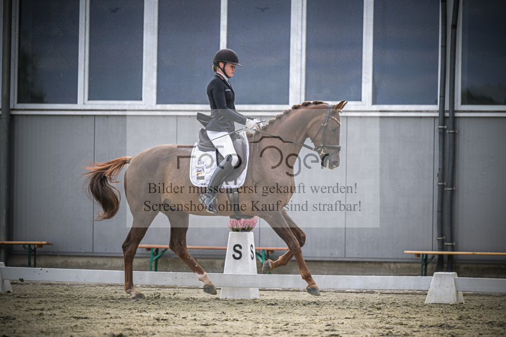 DOS_1921 | Entdecke hochwertige Reitturnierfotos von Foto Oger. Professionell, emotional und authentisch – jetzt Lieblingsmomente im Shop bestellen.Deutschlandweite Turnierfotografie. - Realisiert mit Pictrs.com