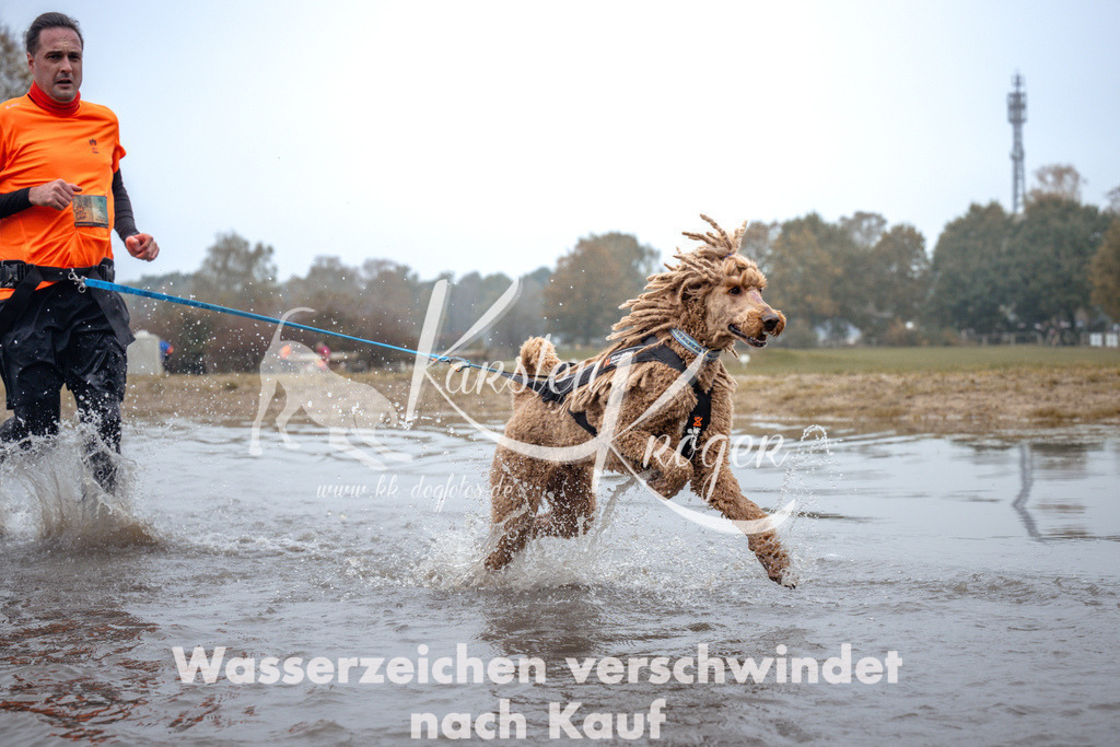 1102_ZZ92589 | kk-dogfotos