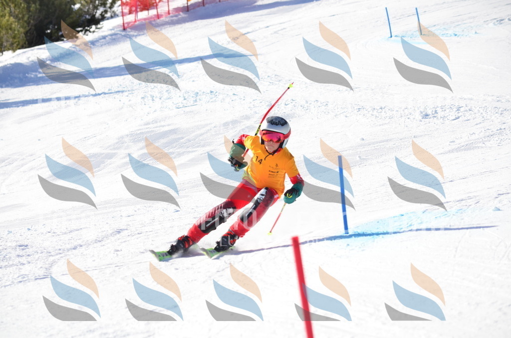 C6300 | holidayphoto