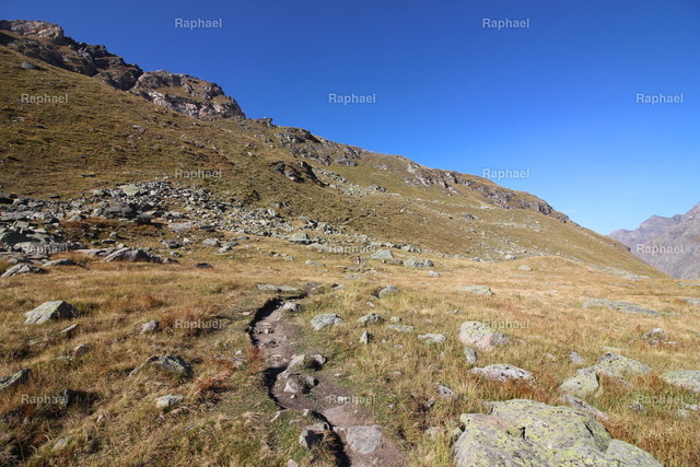 IMG_3621 | Raphael - Realisiert mit Pictrs.com