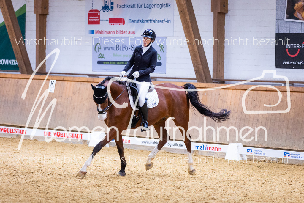 Sth-A-Dre-2St-068 | MomenTaufnahmen Pferdesportfotos