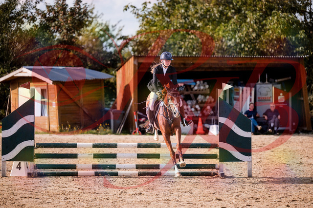 2026_10_03_Siefer-Hof_155806_Z81_77891855 | Professionelle Reitsport-, Turnier- und Eventfotografie von Robert Broda. Galerien mit ausgewählten und bearbeiteten Bildern direkt online ansehen und bestellen.