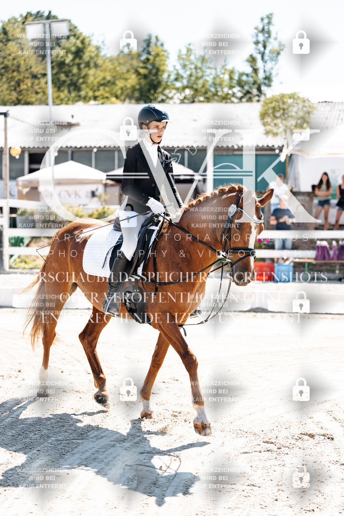 CK902241 | Turnierfotografie Pferdefotografie Trier Rheinland-Pfalz Pferdesport Reitsport Tierfotografie Sportfotografie Pferdevideo Pferdevideografie Equestrianvideography equestrianphotography  - Realisiert mit Pictrs.com