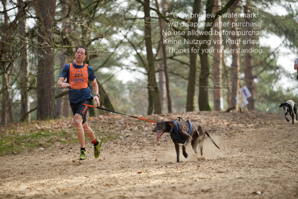 LangeCross-20 | stephaniefillaphotographie - Realisiert mit Pictrs.com