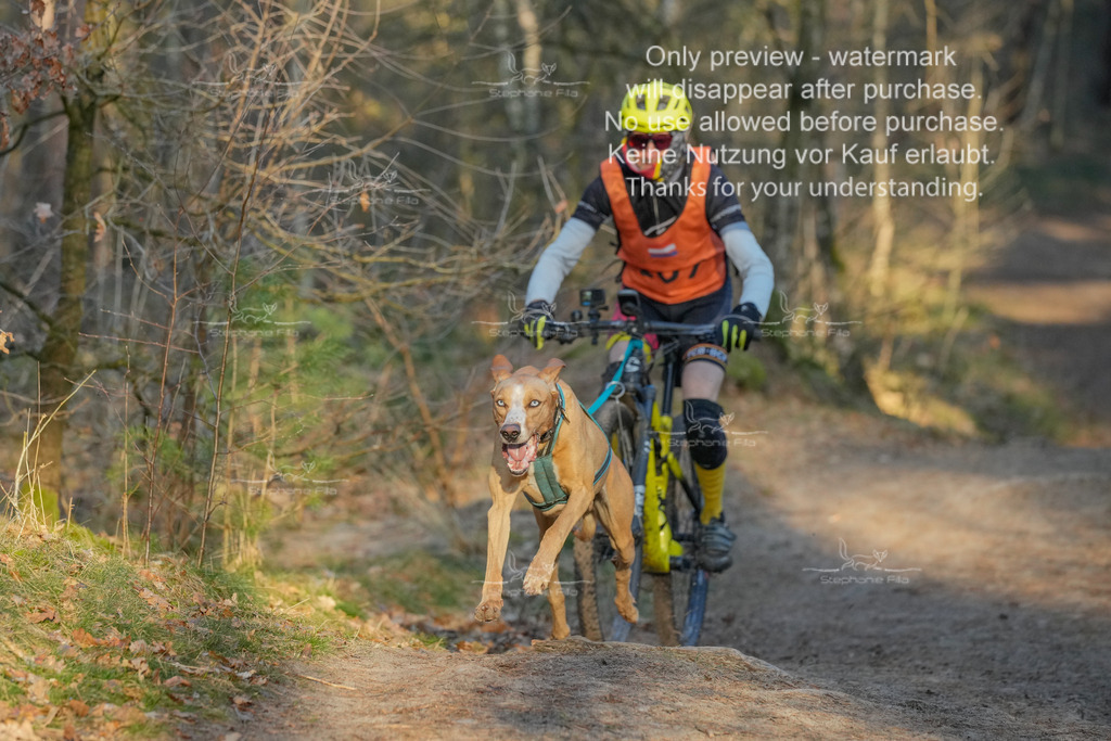 Sa_Bike-403 | stephaniefillaphotographie - Realisiert mit Pictrs.com