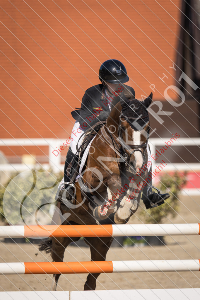 IMG_3461 | Sport-, Event- und Tierfotos in Profiqualität. Einfach auswählen, bestellen und herunterladen. Dein Moment – perfekt festgehalten.