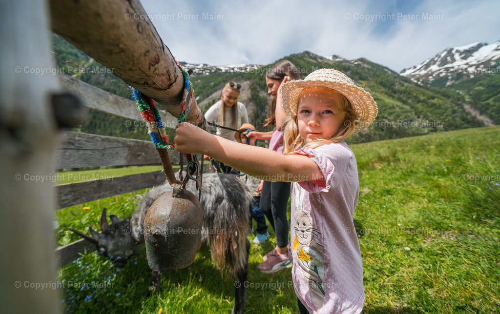 Rent_a_Goas_2024-343 | piet_flosse