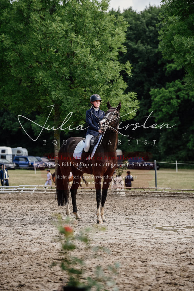 DSC_0067 | Pferde- und Turnierfotografie in Westsachsen. Pferdeportraits, Auftragszeichnungen und intuitive Kunst.