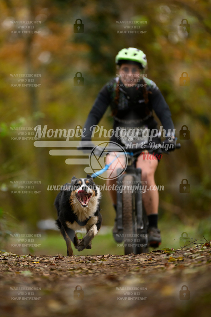 MompixPhotography_Bischwiller24_SA_VTT-67 | PayLife