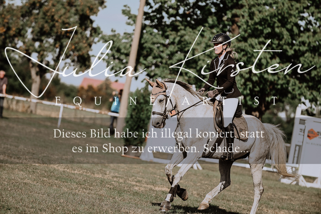 DSC_9512 | Pferde- und Turnierfotografie in Westsachsen. Pferdeportraits, Auftragszeichnungen und intuitive Kunst.