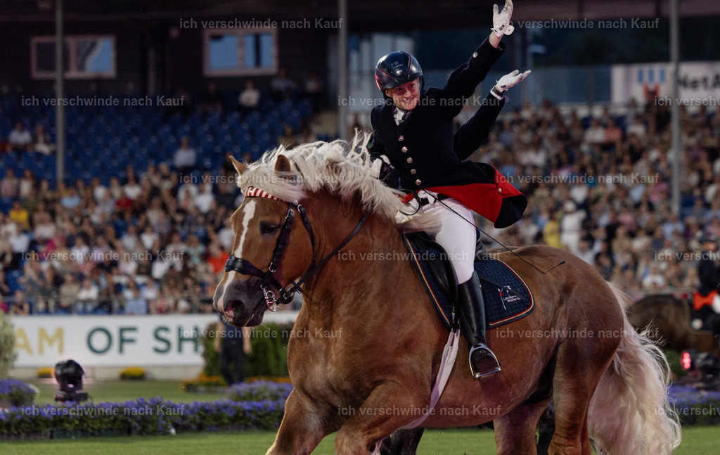 TSCHIO26_PferdundSinfonie_StoibphotographyTSCHIO26_Pferd-Sinfonie_Stoibphotography_AM11550.CR3.jpg | working equitationturnier fotograf videograf stoibphotography marixx film working equitation deutschland reitsport turnierfotografie eventfotografie equestrian events