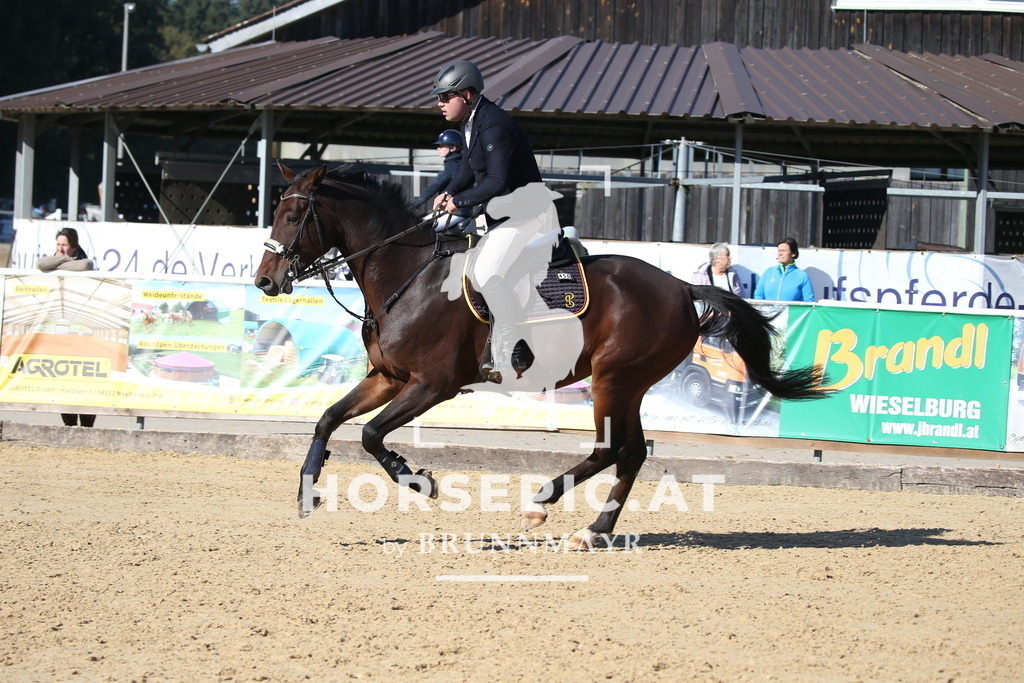 DL2Q1726 | Willkommen bei Brunnmayr - Design & Fotografie – Ihrem Spezialisten für Reitturniere und Pferdeveranstaltungen in Oberösterreich, Salzburg und Bayern! Seit über 17 Jahren sind wir leidenschaftlich dabei.