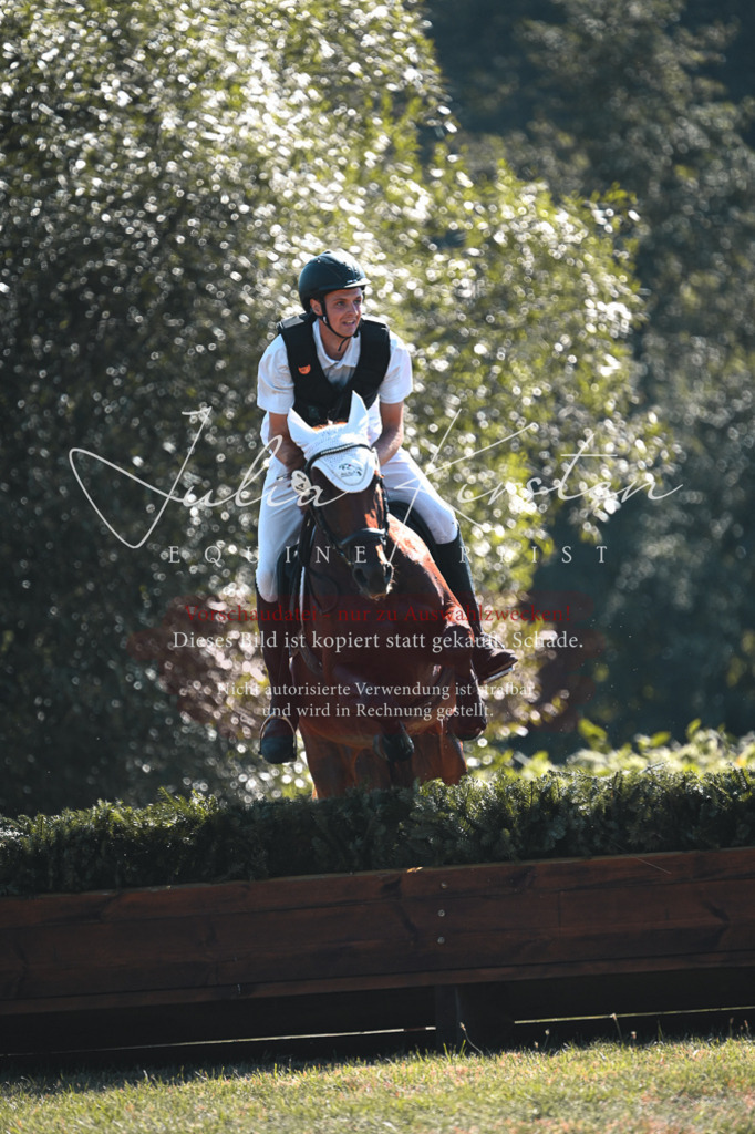 DSC_7981 | Pferde- und Turnierfotografie in Westsachsen. Pferdeportraits, Auftragszeichnungen und intuitive Kunst.