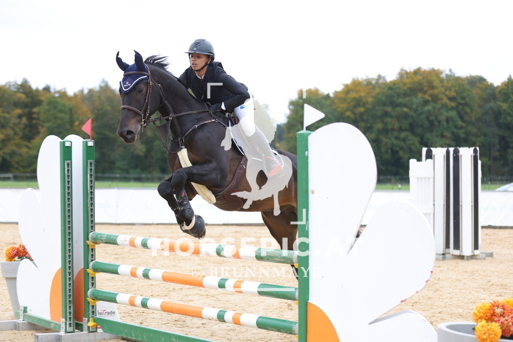 0P6A2900 | Willkommen bei Brunnmayr - Design & Fotografie – Ihrem Spezialisten für Reitturniere und Pferdeveranstaltungen in Oberösterreich, Salzburg und Bayern! Seit über 17 Jahren sind wir leidenschaftlich dabei.